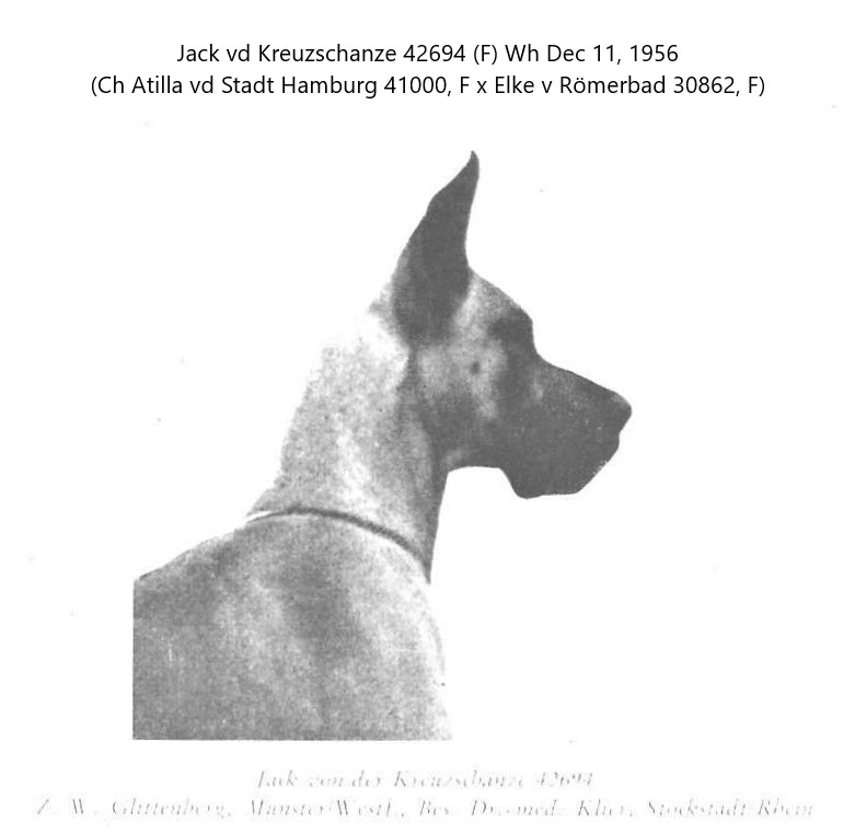 Jack von der Krenzeschanze